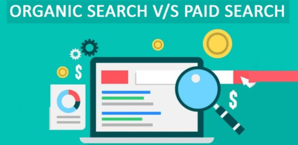 Organic search vs Paid search